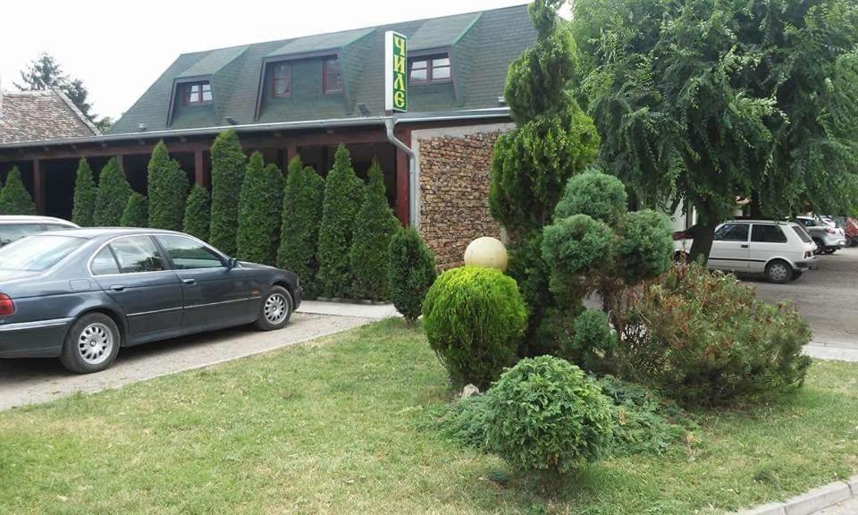 Guesthouse "Kod Cileta" Kovin Zewnętrze zdjęcie